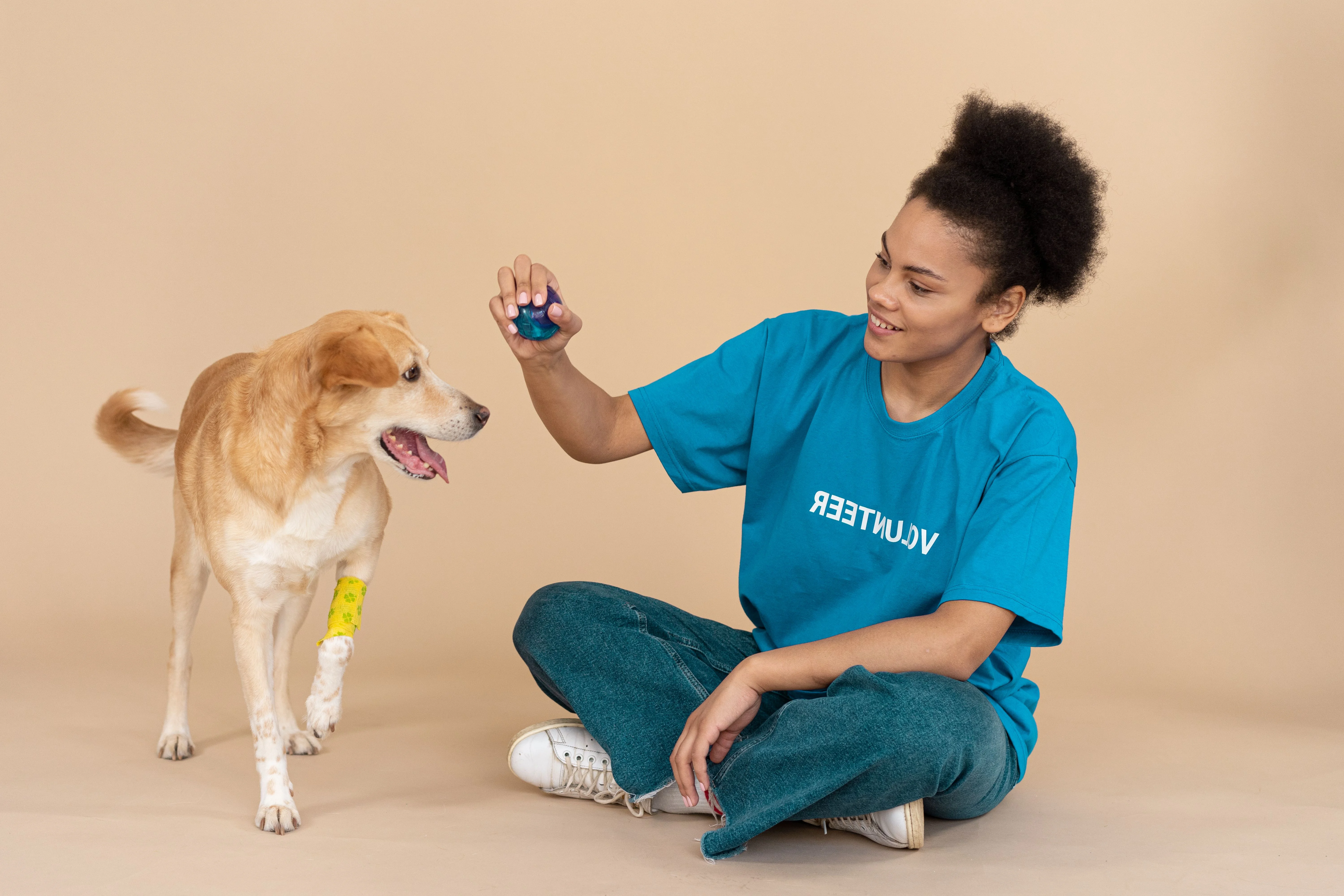 Quel impact réel a le déménagement sur votre chien ?